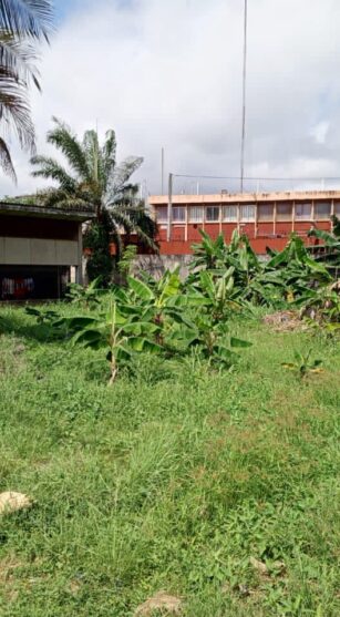 WhatsApp Image 2025-11-17 at 10.36.36 (3)