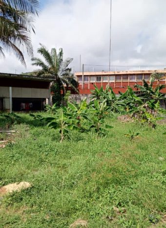 WhatsApp Image 2025-11-17 at 10.36.36 (3)