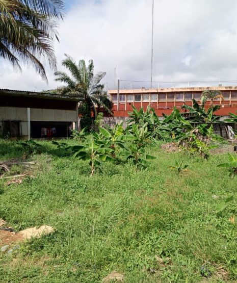 WhatsApp Image 2025-11-17 at 10.36.36 (3)