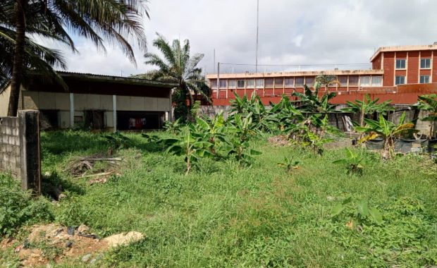 WhatsApp Image 2025-11-17 at 10.36.36 (3)