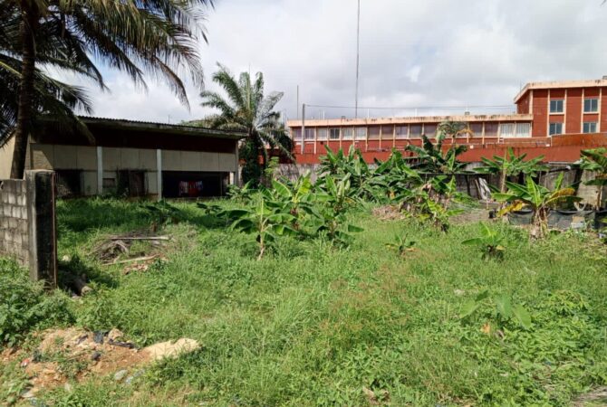 WhatsApp Image 2025-11-17 at 10.36.36 (3)