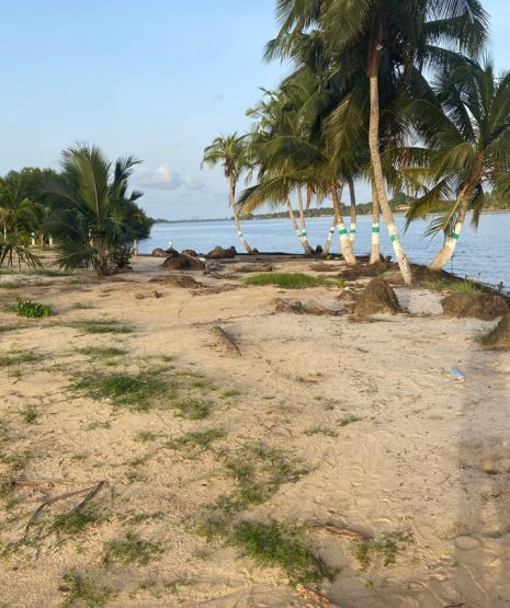 WhatsApp Image 2025-07-09 at 13.36.14