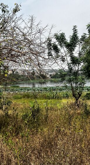 WhatsApp Image 2026-02-04 at 12.27.16 (2)