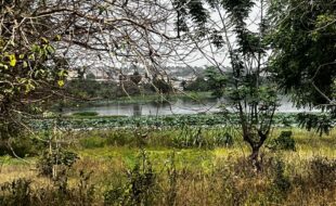 WhatsApp Image 2026-02-04 at 12.27.16 (2)