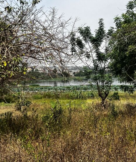 WhatsApp Image 2026-02-04 at 12.27.16 (2)