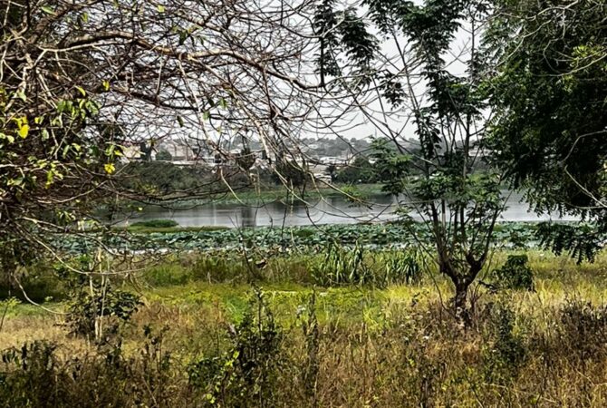 WhatsApp Image 2026-02-04 at 12.27.16 (2)