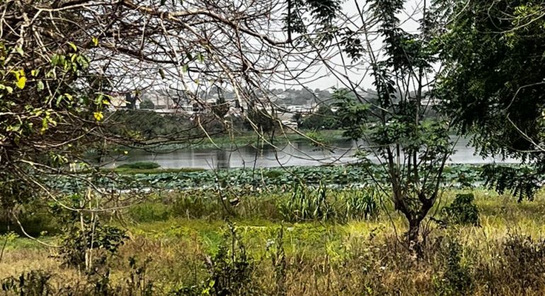 WhatsApp Image 2026-02-04 at 12.27.16 (2)