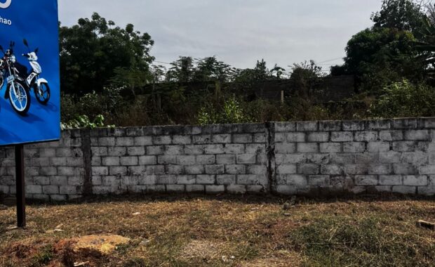 WhatsApp Image 2026-02-04 at 12.33.01