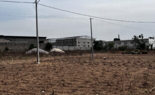 WhatsApp Image 2026-02-09 at 11.34.41 (3)