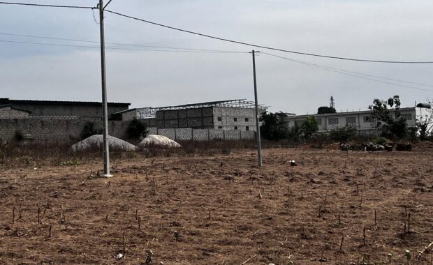 WhatsApp Image 2026-02-09 at 11.34.41 (3)