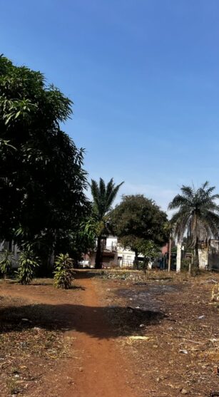 WhatsApp Image 2026-02-09 at 16.39.32 (1)