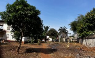 WhatsApp Image 2026-02-09 at 16.39.32 (1)