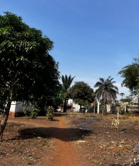 WhatsApp Image 2026-02-09 at 16.39.32 (1)