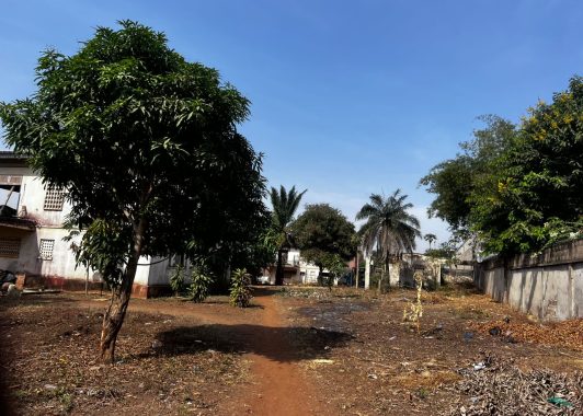 WhatsApp Image 2026-02-09 at 16.39.32 (1)