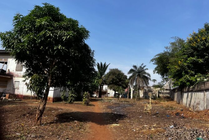 WhatsApp Image 2026-02-09 at 16.39.32 (1)